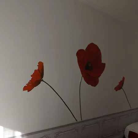 Vaticano In Fiore
